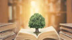 6 китайски поговорки за трудните моменти