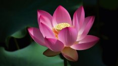 Каква е вашата карма според зодията?