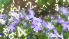 Седмична нумерологична прогноза за 28 април – 4 май 