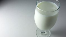 Кои храни са богати на пробиотици?