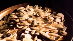 Невероятно полезни – тиквените семки!