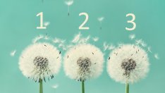 Тест: Изберете глухарче и вижте посланието му