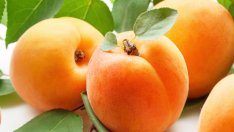 Здравословни ползи от кайсиите и ядките им