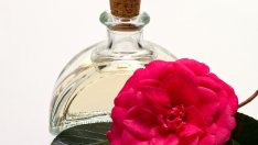 Здравословни ползи от маслото от камелия