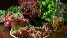 Слабите страни на вегетарианството