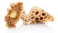 Пчелното млечице – здраве и дълголетие