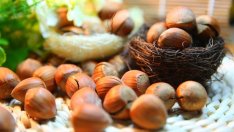 9 страхотни ползи от лешниците 