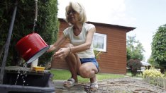 Стриктна  хигиена – честа причина за кожни алергии