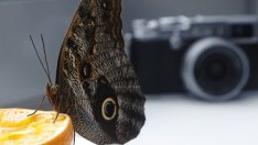 Храни, които намаляват холестерола