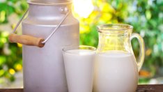 Кое е по-доброто мляко?