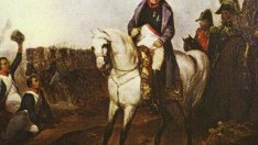 Знаете ли, че... Наполеон се страхувал от котки?