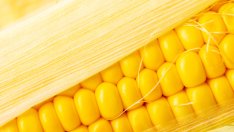 Зеленчуци, които е добре да ограничите 