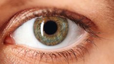 Храни, полезни за здравето на очите (галерия)