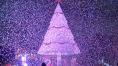 Знаете ли, че... първите коледни лампички датират от 1882 година?