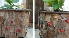 Декорация на саксии