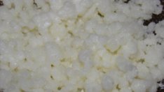 Тибетската гъба – кефир за изцеление и дълголетие