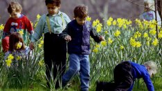 8 начина да научим децата да бъдат отговорни към природата