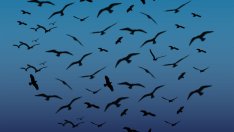 Знаци, които подсказват, че е време да сложите край на връзката