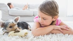 Опасни предмети в ежедневието, съдържащи токсични вещества 