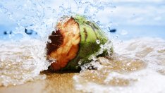 Лек срещу стреса