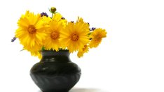 Как да изчистим замърсените вази и чаши?