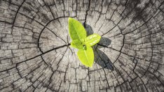 Притча за търпението