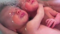 Близнаци, които не разбират, че са родени! (видео)
