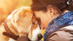 Безценни уроци, на които кучето ни учи