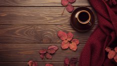 4 зодии, за които ноември ще е прекрасен