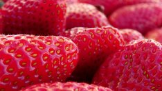 Добра храна – супер либидо