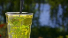 Защо да пием зелен чай