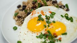 Високопротеинови храни, различни от месо