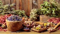 Подуване и газове? 5 билки спасяват положението