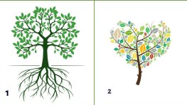 Изберете дърво и вижте какво разкрива за вас