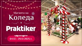 Практикер посреща Коледа с топ намаления