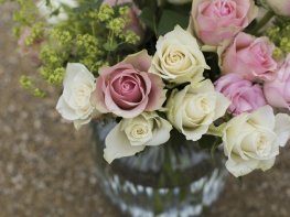 Днес е Света Екатерина!