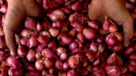 Без лук животът не е вкусен