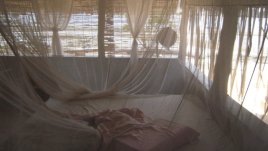 Каква сте в любовната игра според зодията