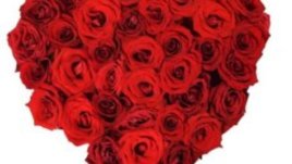 Какво да пожелаем за 14-ти февруари?