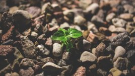 Мисъл на деня за... тъгата