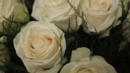 Как да благодарим и приемем цветя за 8-и март