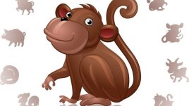 Лош късмет ли вещае годината на Маймуната за маймуните? 