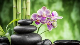 Фъншуй съвети за здраве и благополучие