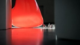 Мисъл на деня за... любовта и загубеното време