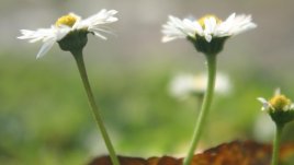 Когато видим себе си в очите на другия...