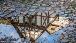 Мисъл на деня за гледната точка