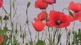 Днес е Голяма Богородица - Честит имен ден, Мария!