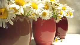 Запазете свежестта на букетите по-дълго с няколко трика