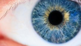 Безплатни очни прегледи във ВМА