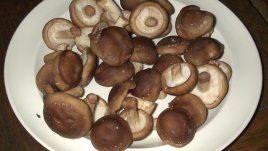 Някои видове гъби и техните ползи за здравето